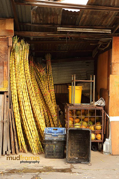 Sugar cane & coconuts at Madras Lane, Kuala Lumpur