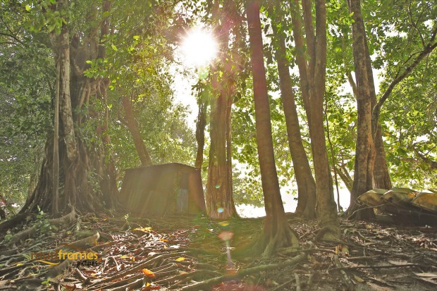 A shack by the beach at Pulau Pangkor, Malaysia