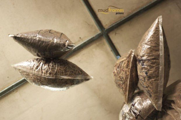 Bags of traditional chinese medicine herbs hanging from Kok Ann medical store at Kuching, Malaysia