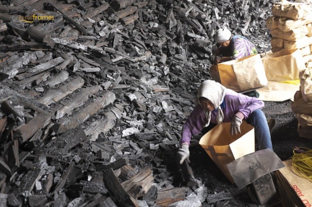 Charcoal factory workers sorting out charcoal wood to be packed at charcoal factory at Kuala Sepetang