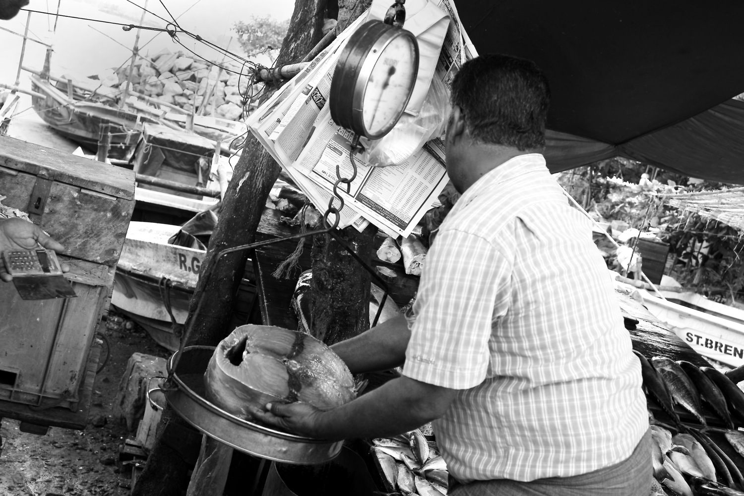 Fishmonger at vicinity of Galle Fort, Sri Lanka