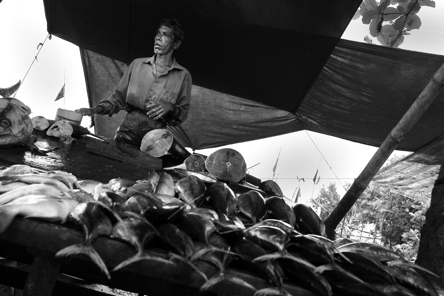 Fishmonger at vicinity of Galle Fort, Sri Lanka