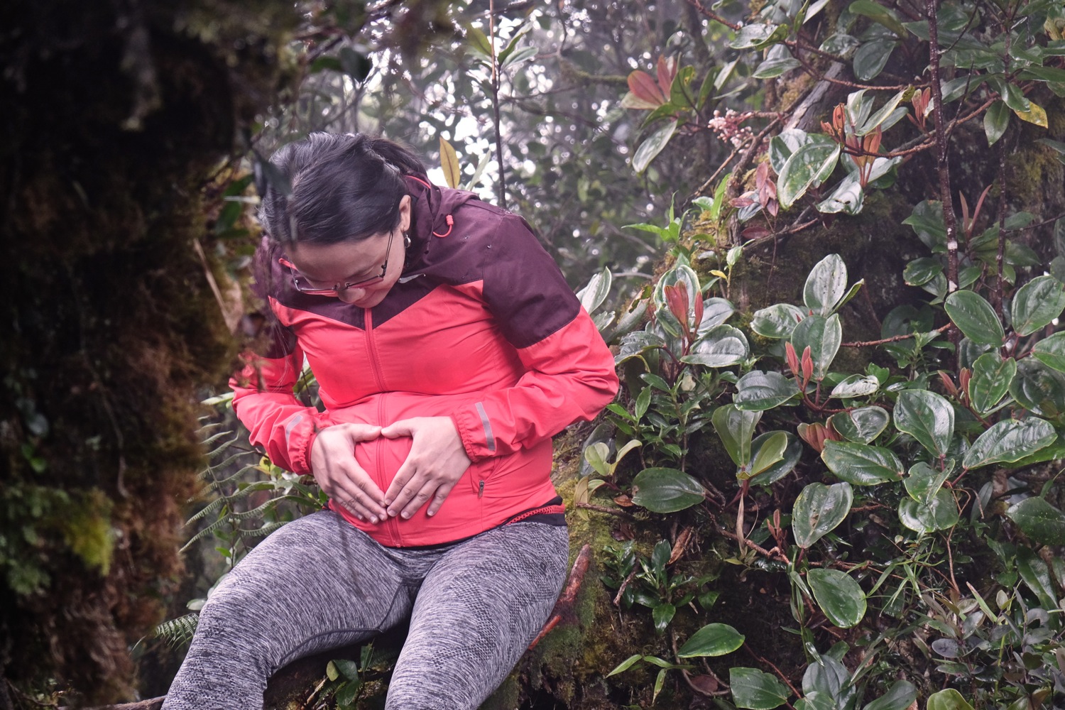 Mossy forest Cameron Highlands maternity photography